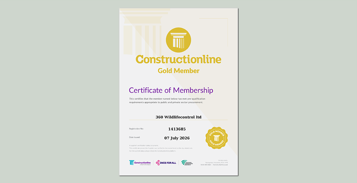 Constructionline Gold Certificate