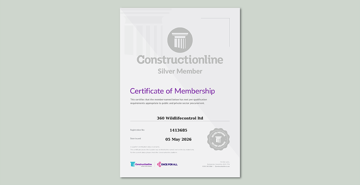 Constructionline Silver Certificate