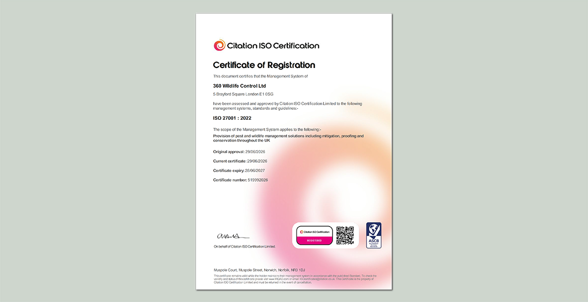 ISO 27001:2022 Certificate